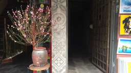 Thú chơi hoa Tết