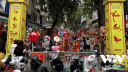 Chợ hoa Hàng Lược vắng khách
