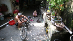 Người đô thị ngày càng ưa thích xe đạp
