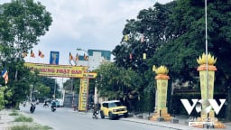 Phật tính giữa đường