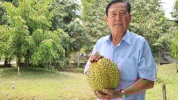 Làm giàu từ ruộng vườn: Hành trình của những nông dân hiện đại