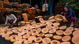 Lóc cóc thớt Định An