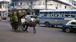 Dấu xưa… xe thổ mộ