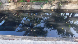 Nỗi buồn kênh nước đen