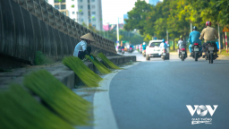 Phố thơm mùi cốm