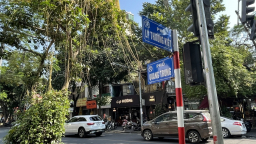 Tơ hồng giữa phố