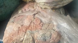 Hải Dương: Phát hiện, tiêu hủy 1,3 tấn lòng lợn, mỡ lợn bốc mùi hôi thối