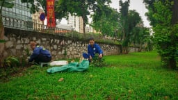 Hương cỏ sớm mai