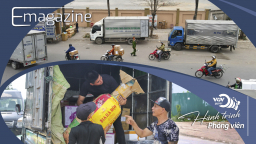 “Vỡ trận” tập kết hàng hoá, Hà Nội định “thả gà ra đuổi” tới bao giờ?