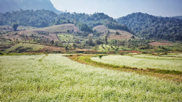 Du xuân 3 miền