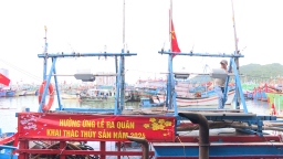 Dọc miền Tết Việt (Kỳ 2): Niềm vui ngày mơ biển