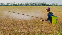 Làm gì để giữ chân người lao động sau mỗi mùa hạn, mặn?