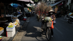 Mùa Xuân trên phố