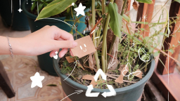 Nhóm học sinh và những hành động yêu môi trường
