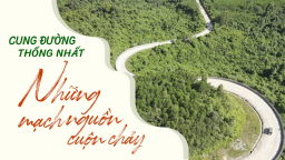 Những mạch nguồn cuộn chảy