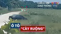 Top 6 pha ô tô cày ruộng