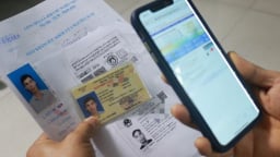 Trường hợp nào không được đổi bằng lái xe?