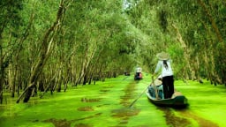 Mùa nước đỏ U Minh