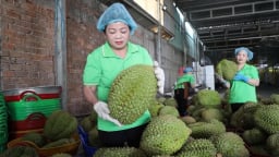 Cú trượt dài sau bứt tốc, sầu riêng cần lời giải minh bạch