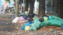 Khi trường học và bệnh viện thành nơi chứa rác
