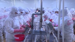 Mở rộng và đa dạng hóa thị trường - Lời giải cho bài toán xuất khẩu nông sản ĐBSCL