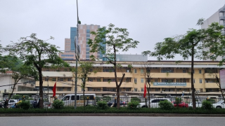 Hà Nội: Hàng phượng trên đường Giải Phóng, 7 năm chưa “mát” một lần