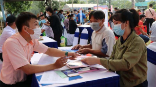 Công việc thời vụ gần Tết: Không có việc nhẹ, lương cao