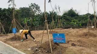 Phụ nữ quận Hoàn Kiếm phủ xanh bờ vở sông Hồng