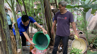 TP.HCM: Chủ động phòng chống sốt xuất huyết mùa mưa