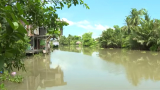 Ký ức dòng Bảo Định giang