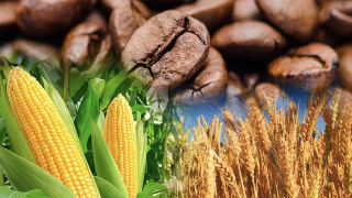 Thị trường nông sản đỏ lửa dẫn dắt xu hướng thị trường hàng hóa tuần qua
