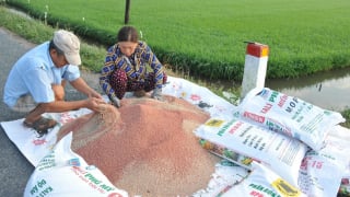 Liệu áp thuế giá trị gia tăng với phân bón sẽ lợi nhiều hơn?
