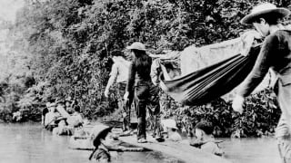 Những bông hoa dưới tán rừng Trường Sơn