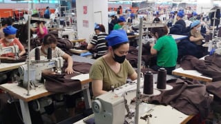 Bắc Ninh đẩy nhanh triển khai điều tra doanh nghiệp năm 2025