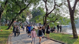 Sẽ có 'Ngày cây xanh Việt Nam'