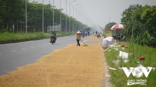 Sử dụng lòng đường để phơi lúa, rơm rạ có thể bị phạt tới 20 triệu đồng