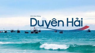 [Trực tiếp] VOV Giao thông Duyên hải - không còn giới hạn phát sóng