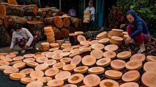 Lóc cóc thớt Định An