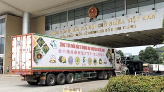 Làm sao để thúc đẩy xuất khẩu nông sản vào thị trường Trung Quốc?