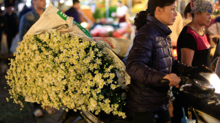 Hà Nội đến và yêu: Nhộn nhịp chợ hoa Quảng Bá
