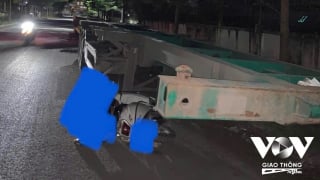 Hàng ngàn cư dân Luxgarden sống trong bất an vì chó thả rông và mặt đường xuống cấp