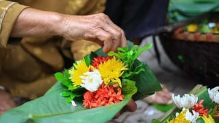 Hà Nội sống và yêu: Hoa gói làng Ngọc Hà giờ đâu?