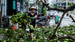 Quảng Ninh: Người dân dọn dẹp, khắc phục hậu quả của bão số 3