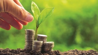 Chuyển đổi xanh là khoản đầu tư, không phải là chi phí