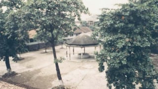Cây bàng “chứng kiến” cuộc đấu tranh ở Nhà tù Hỏa Lò