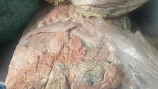 Hải Dương: Phát hiện, tiêu hủy 1,3 tấn lòng lợn, mỡ lợn bốc mùi hôi thối