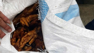 Chặn đứng 1,4 tấn “chân gà bẩn” đang trên đường về Hà Nội tiêu thụ