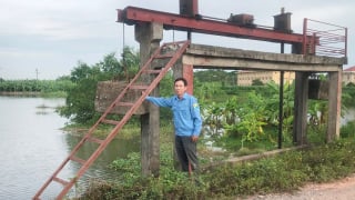 (Chiều 05/6) Hải Dương bảo vệ trọng điểm đê, kè, cống xung yếu