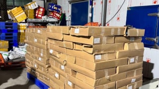 Phát hiện gần 70 tấn nội tạng và thịt động vật không rõ nguồn gốc