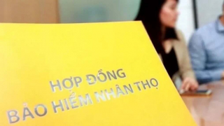Nhiều sản phẩm bảo hiểm sẽ bị ngừng bán từ 1/7